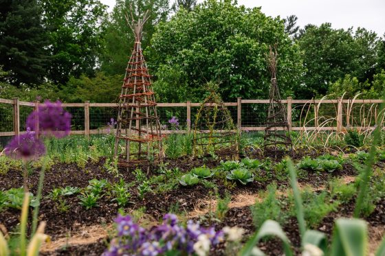 The Idea Garden at Longwood with spring plantings in the beds.